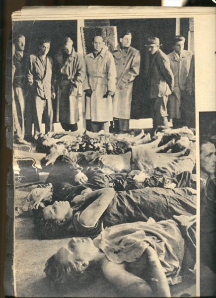 Newspaper clipping following the Hungarian Revolution, Canadian Museum of Immigration at Pier 21 (unaccessioned, Risanyi). 
