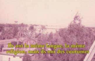 Vieille photo floue de palmiers.