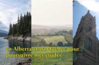 Un collage d’images montrant des forêts verdoyantes et des paysages herbeux.