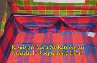 De beaux motifs de gingham colorés tapissent l’intérieur d’une valise.