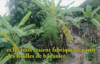 Un logement peut être vu dans une jungle dense.