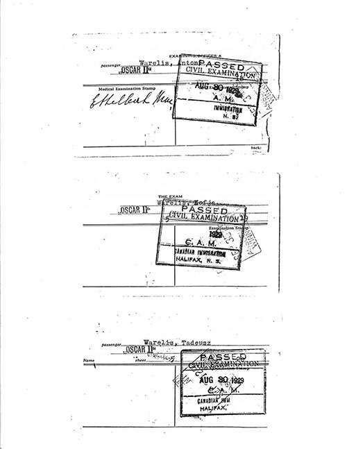 Vieux papier avec trois timbres d’examen civil réussi.
