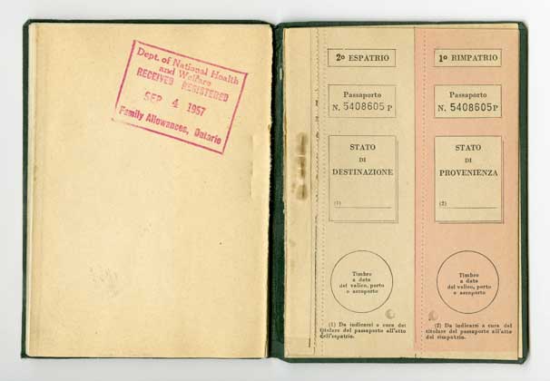 Pages de passeport en couleur avec timbres.