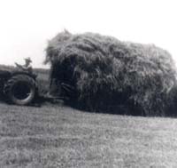 Agriculteur sur tracteur tirant beaucoup de foin.