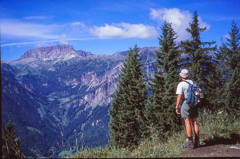 Un homme se tient dos à la caméra, il regarde les montagnes.